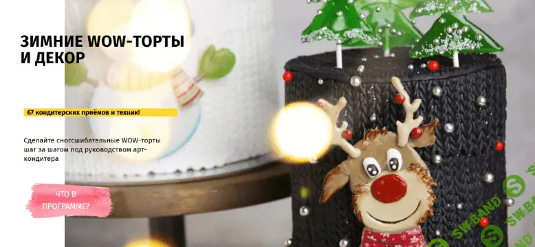 [Даяна Лус] [Egor.Team] Зимние Wow-торты и декор. Тариф Бизнес (2022)