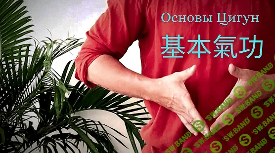 [Дамо Митчелл] Основы Цигун (2022)