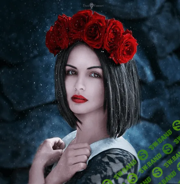 [Данил Васенёв] Авторская обработка