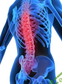 [daoschool] Audio-PSY-модуль «Исцеление позвоночника»