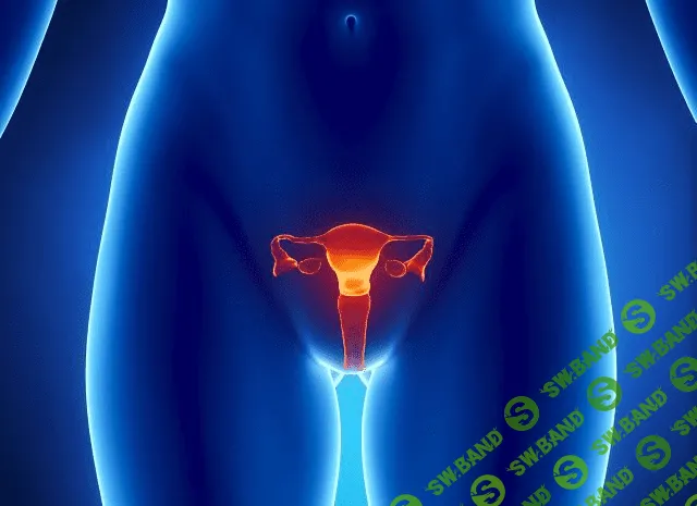 [daoschool] Audio-Psy-модуль «Очищение матки»