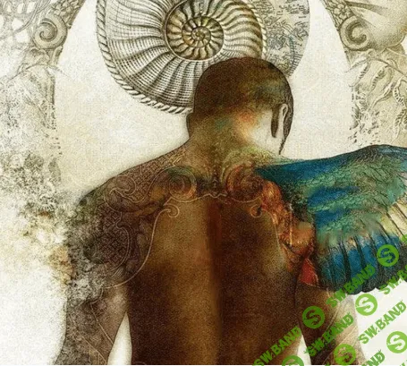 [DaoSchool] Исцеление мужественности