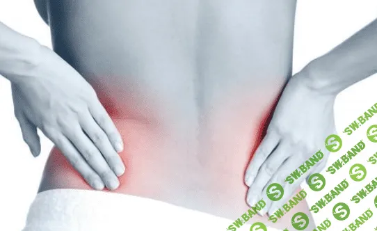 [DaoSchool] Исцеление почек (2016)