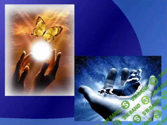 [DaoSchool] Развитие любви, доверия, доброты, благодарности и сострадания