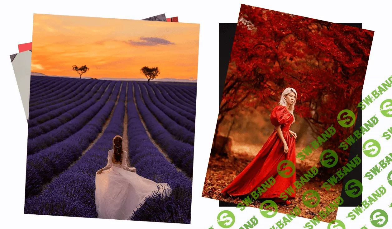 [Дарья Булавина] Курс по Photoshop_1М (2021)