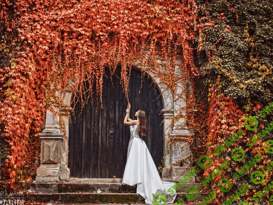 [Дарья Булавина] Мастер-класс по свадебной съемке (2016)