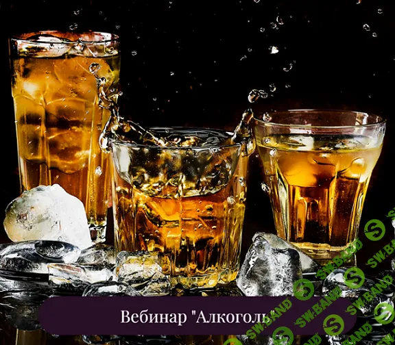 [Дарья Дик] Алкоголь (2024)