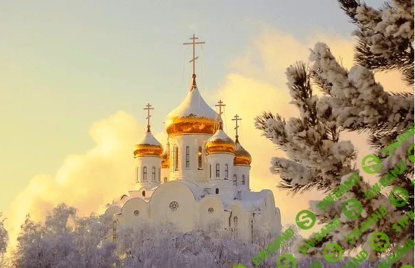 [Дарья Краева] Екатерининский собор