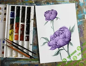 [Дарья Краева] Рисуем Пион Акварелью
