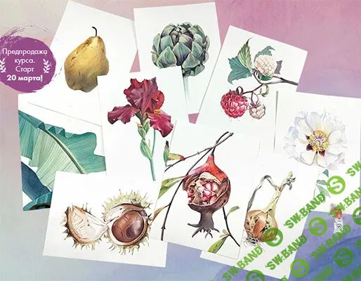 [Дарья Куцаева] Ботаника акварелью 2.0 (2023)