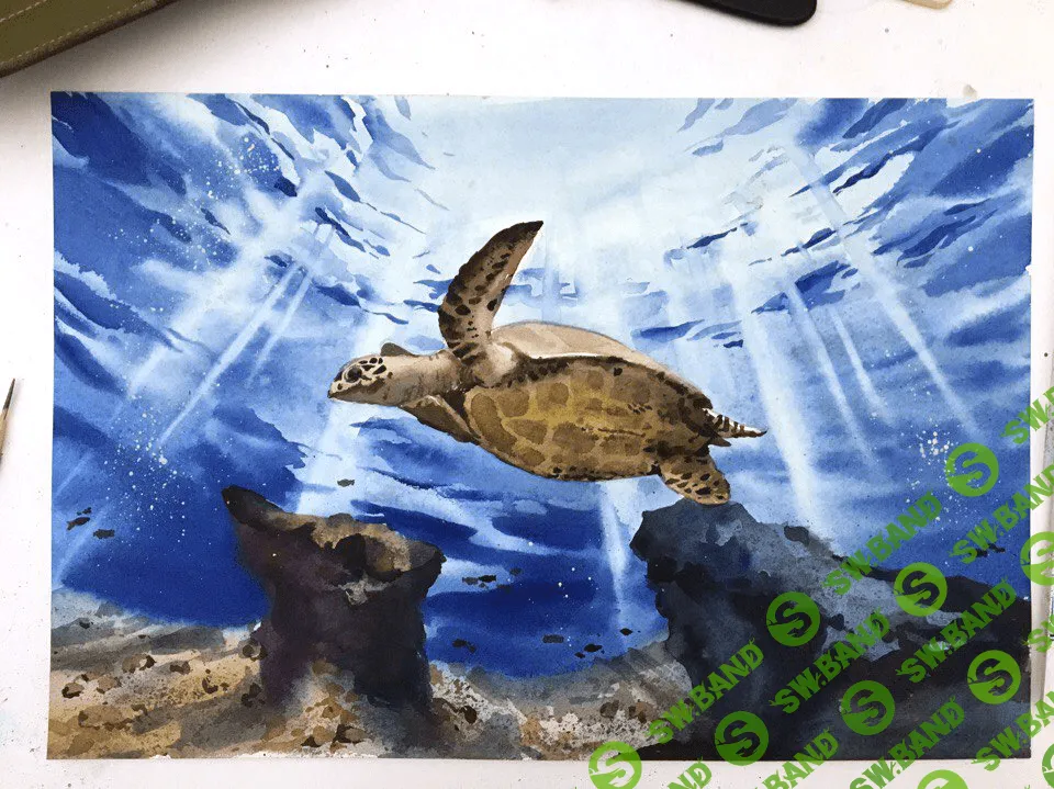 [Дарья Куцаева] Художник под водой: Акварель