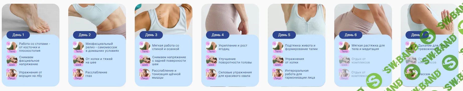 [Дарья Орлова] Конструктор красоты Pro (для уверенных) (месяц № 5) (2025)