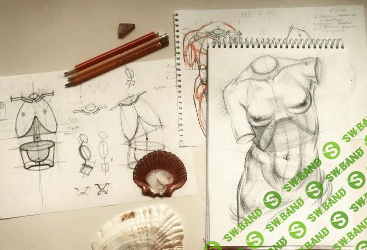 [Дарья Остапенко] Классический женский торс (2018)