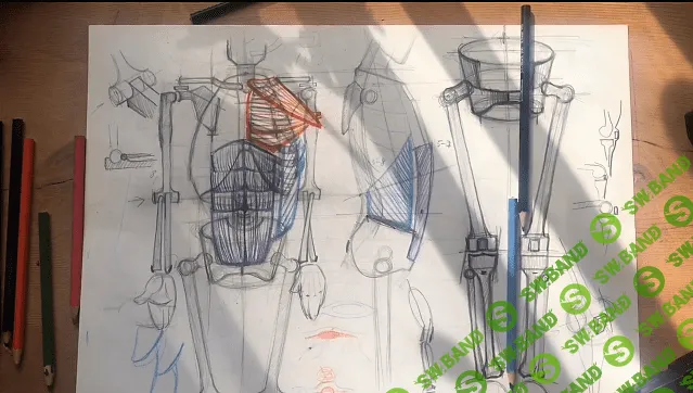 [Дарья Остапенко-Праведникова] Анатомия для художников за 210 минут [Udemy]