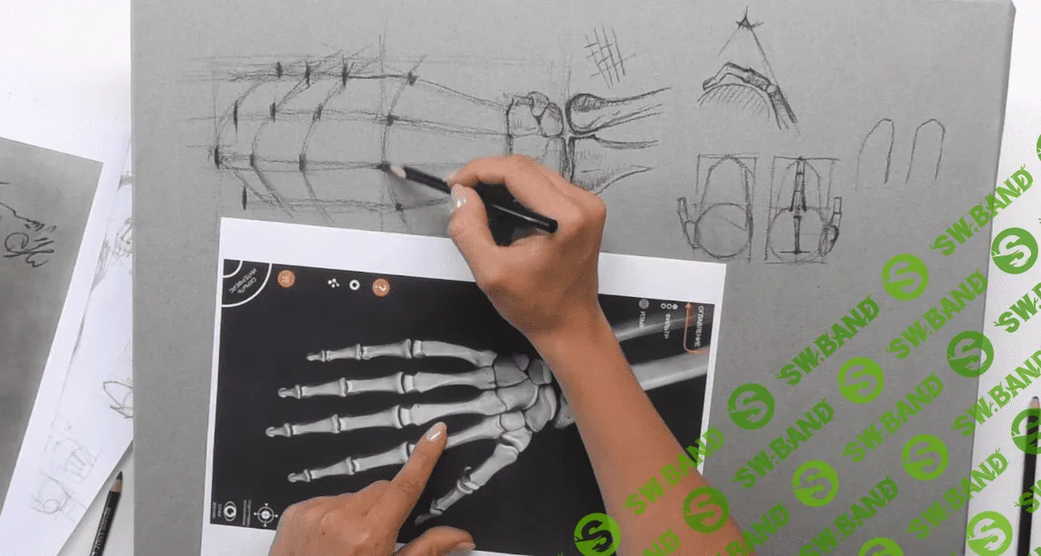 [Дарья Остапенко] Живописный рисунок. Приёмы графики (2020)