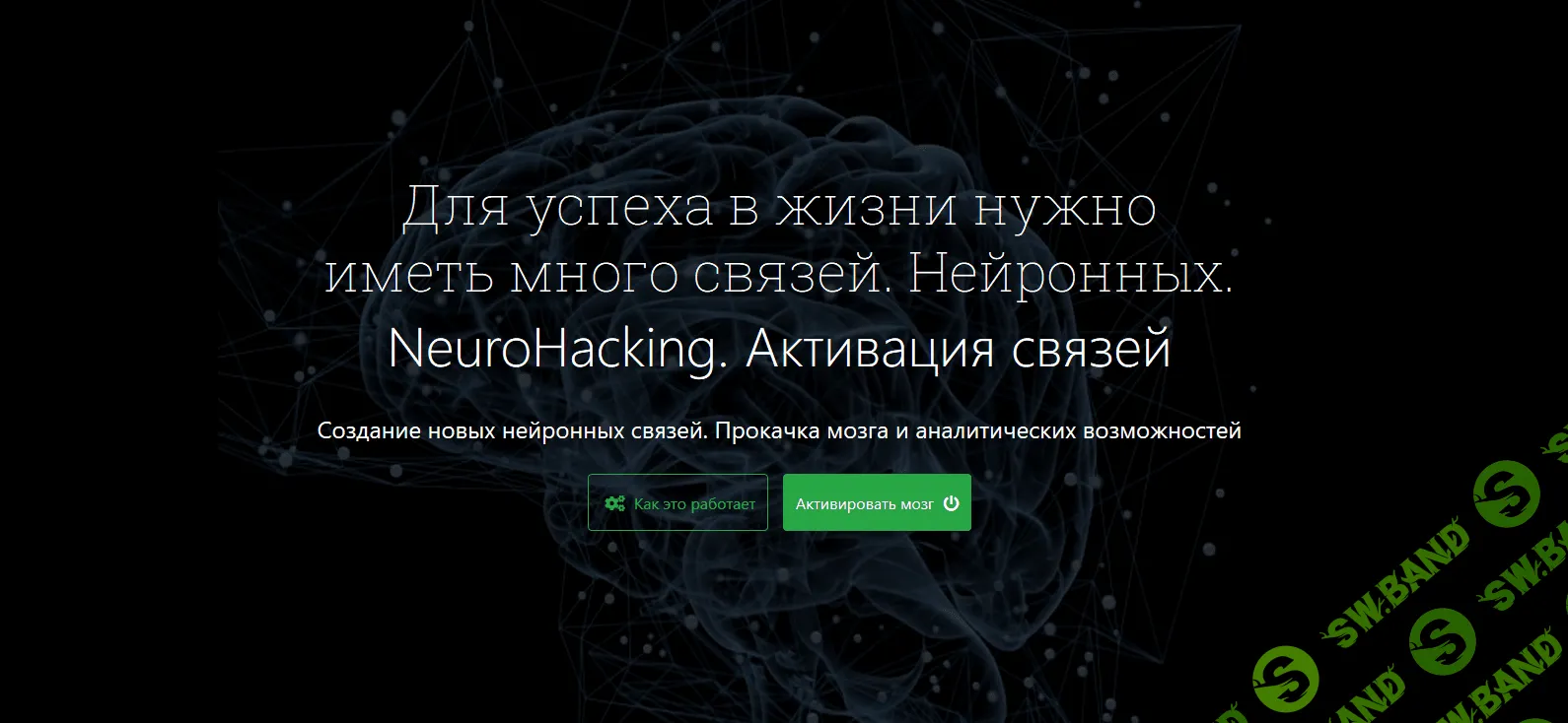 [Денис Борисов] NeuroHacking. Активация Связей (2018)