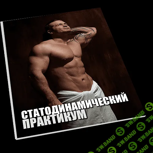 [Денис Борисов] Статодинамический практикум