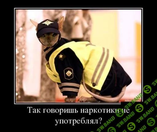 [Денис Бурхаев] Мудрость души. Или как зависимость превратить в терапию