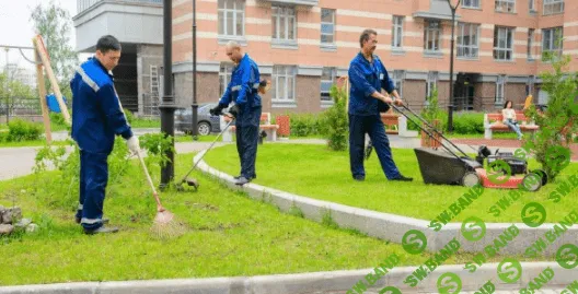 [Денис Кулаков] Комплексное содержание придомовой территории (2024)