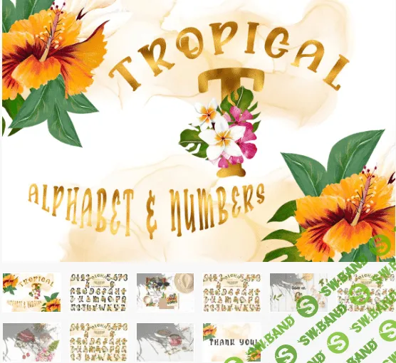 [Designbundles] Tropical Alphabet and Numbers (2020)
