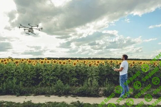 Десятки миллионов гривен выручки на 2,7 млн гектаров земли: история внедрения ИТ в агросектор от SmartFarming