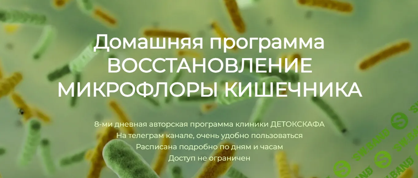 [ДетоксКафа] Домашняя программа восстановления микрофлоры кишечника (2024)