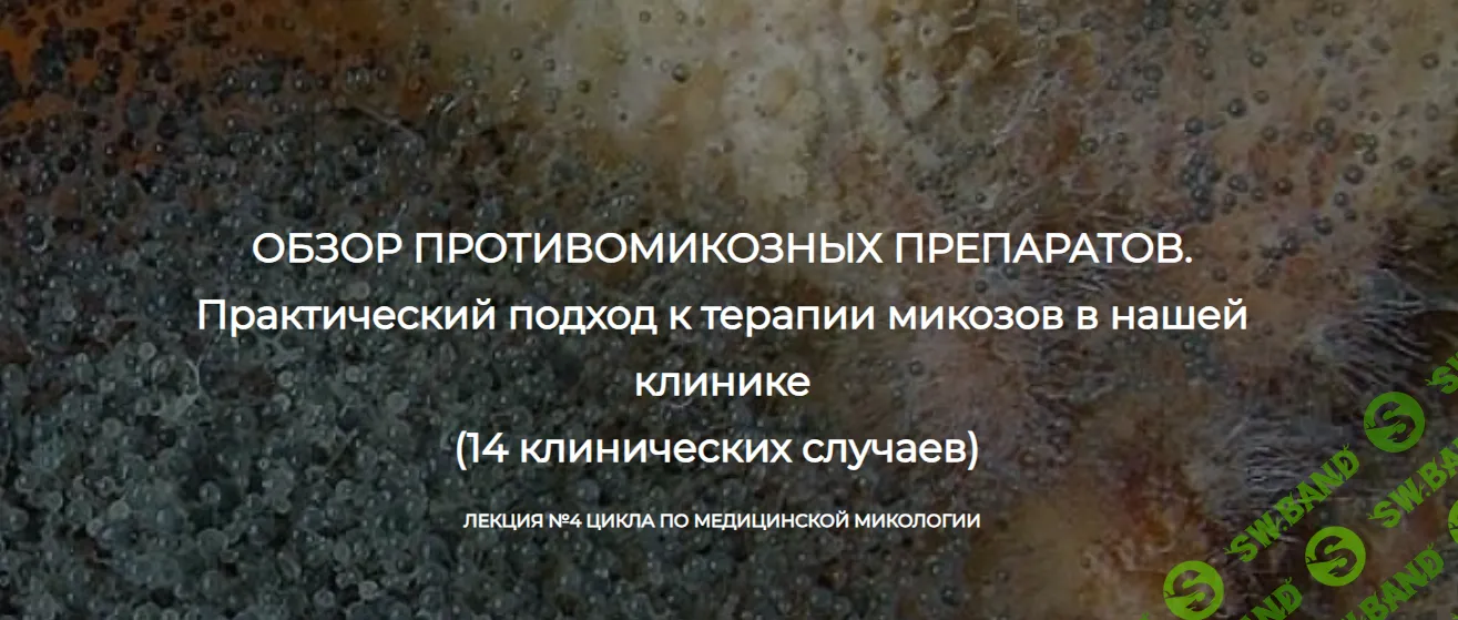 [Detoxkafa] Лекция №4 цикла по медицинской микологии. Обзор противомикозных препаратов (2024)