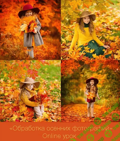 [Диана Александрович] Online урок "Обработка осенних фотографий" (2017)