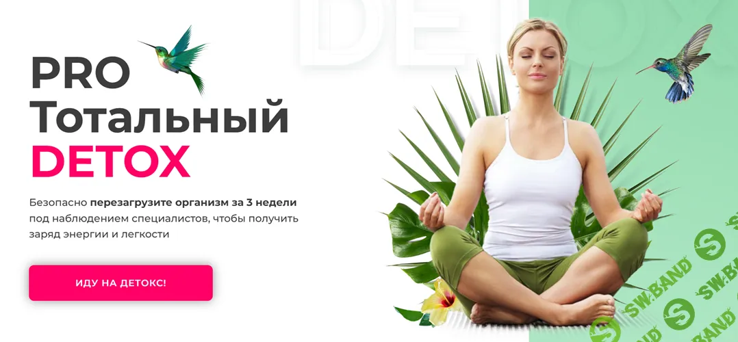 [Диляра Лебедева] PRO Тотальный Detox (март 2026)