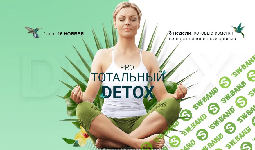 [Диляра Лебедева] Pro тотальный Detox (Ноябрь 2020)