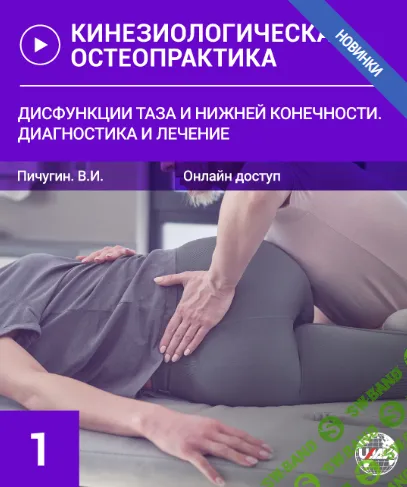 Дисфункции таза и нижней конечности. Диагностика и лечение [Вячеслав Пичугин]