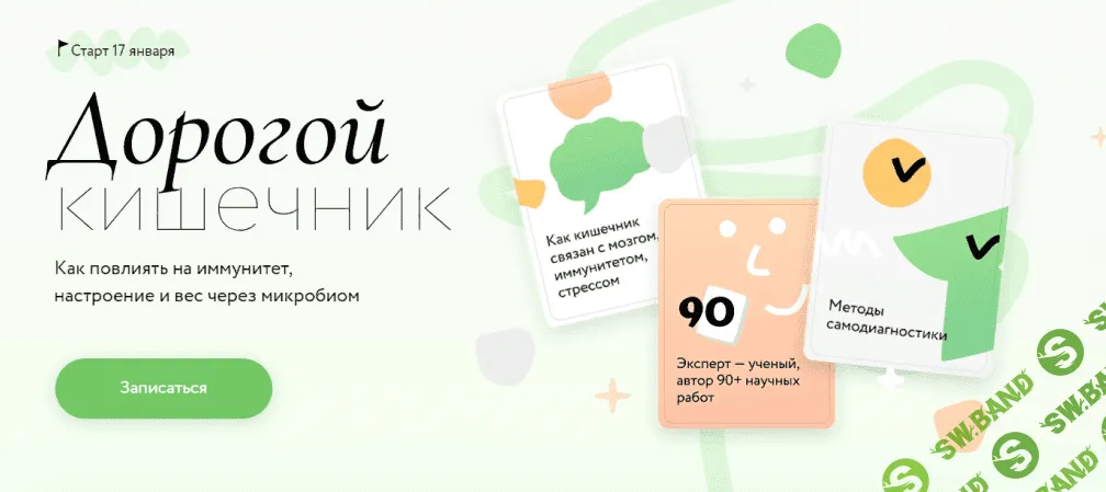 [Дмитрий Алексеев] [МИФ. Курсы] Дорогой кишечник (2023)