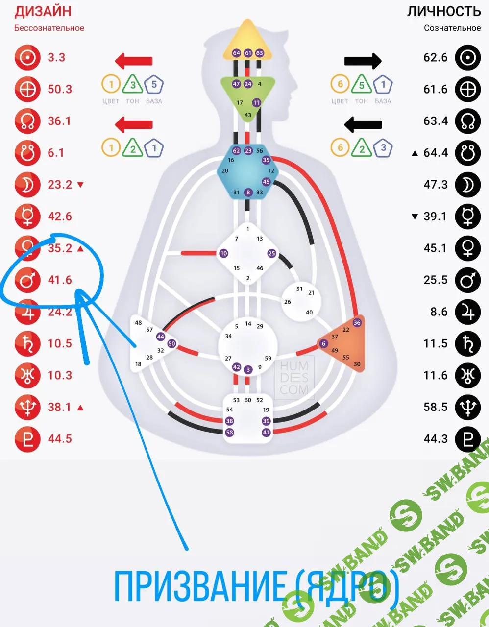 [Дмитрий Богацкий] Практикум «Призвание». Дизайн человека (2024)