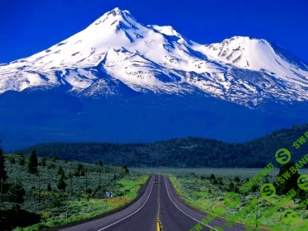 [Дмитрий Богданов] Творец тренингов