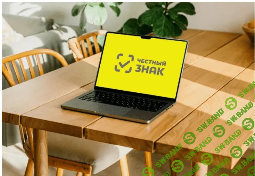 [Дмитрий Егоров, Кристина Киселева] Лучшие лекции о системе «Честный знак» (2023)