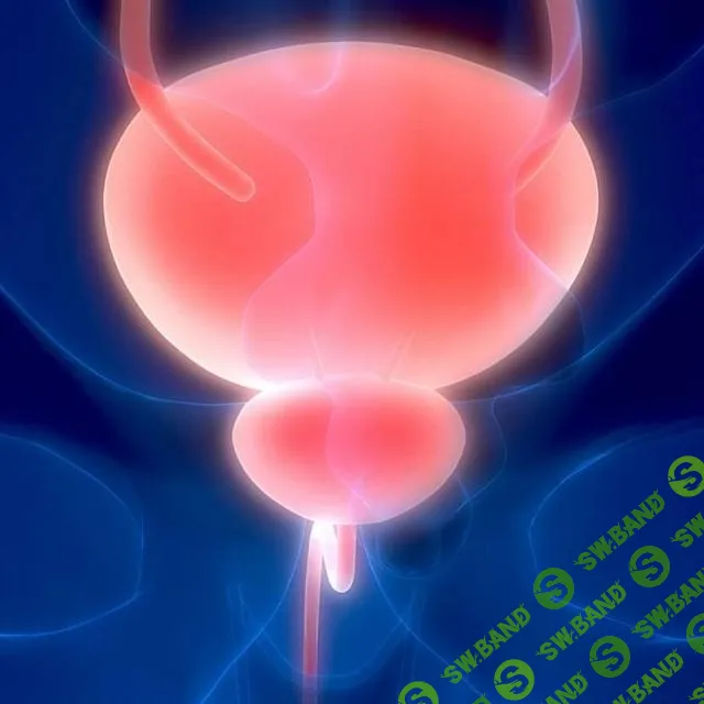 [Дмитрий Исаев, Александр Драгнев] Фабула «Мочевой пузырь 1.0» (2023)