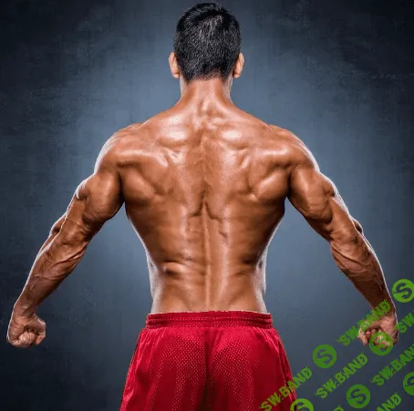 [Дмитрий Исаев, Александр Драгнев] Фабула "Тонус мышц: антивялость" (2023)