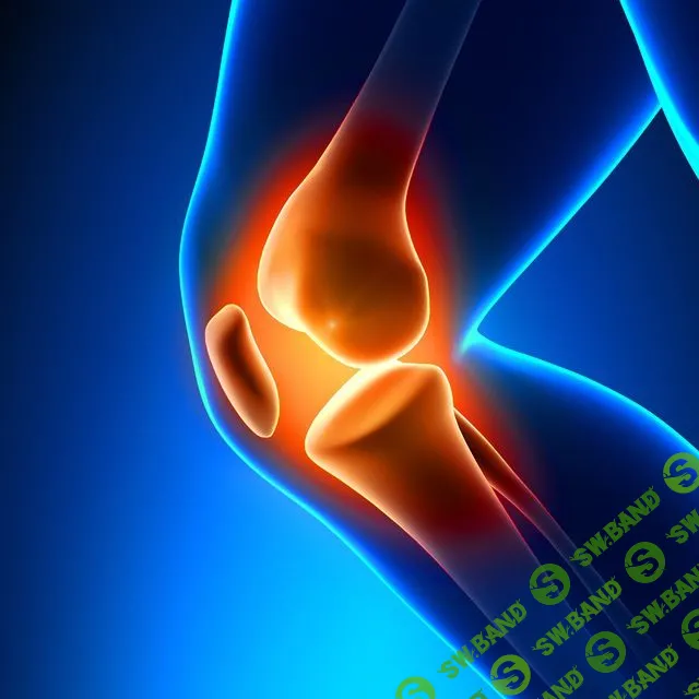 [Дмитрий Исаев] Фабула Суставы 1.0 (2023)