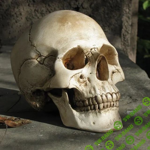 [Дмитрий Исаев и Александр Драгнев] Фабула «Страх смерти» (2023)