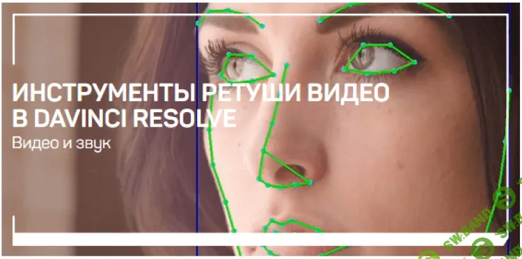 [Дмитрий Ларионов] Инструменты ретуши видео в DaVinci Resolve (2020)