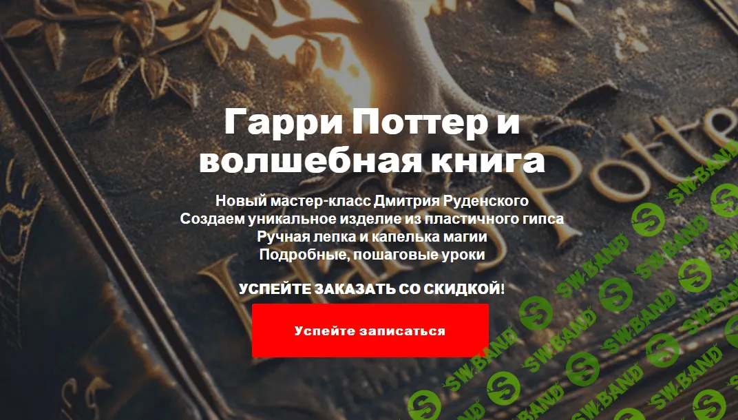 [Дмитрий Руденский] Гарри Поттер и волшебная книга (2024)