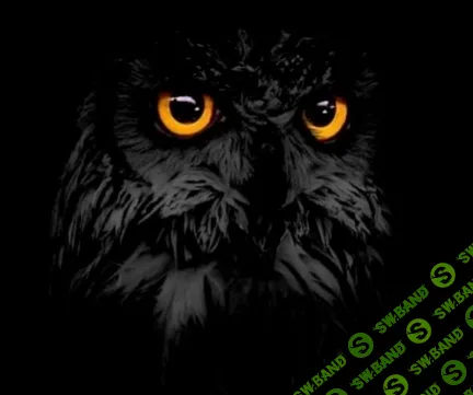 [Дмитрий Руденский] Сова-тайник (2024)