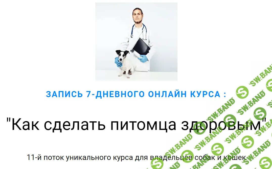 [Дмитрий Русаков] Как сделать питомца здоровым (2020)