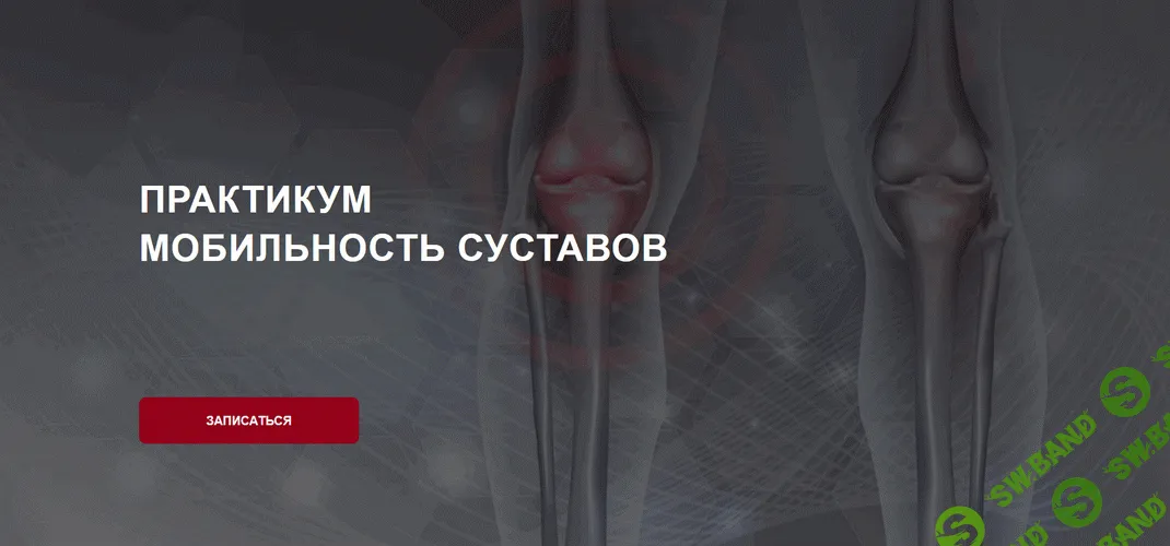 [Дмитрий Семёнов] Мобильность суставов (2025)