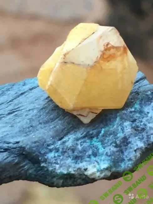 Добыча нефти и золота, крендельная, детекция лжи, «комната фантазии»: бизнесы, которые можно купить на Avito и «Юле»