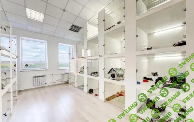 Добыча нефти и золота, крендельная, детекция лжи, «комната фантазии»: бизнесы, которые можно купить на Avito и «Юле»