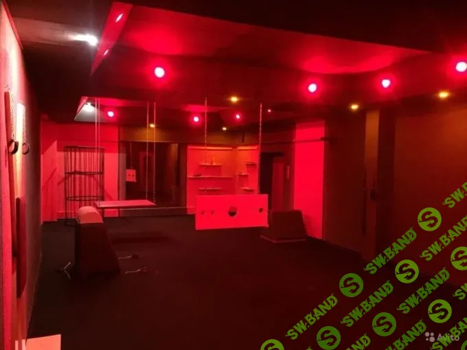 Добыча нефти и золота, крендельная, детекция лжи, «комната фантазии»: бизнесы, которые можно купить на Avito и «Юле»