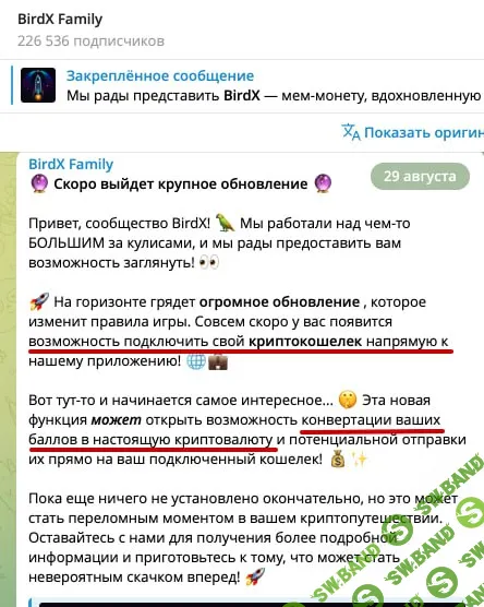 DOGS раздали свои токены — следующие Bird X