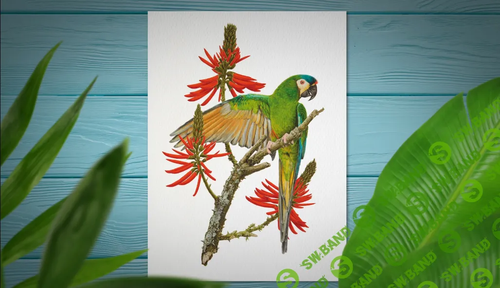 [Domestika] Акварельные птицы и дикая природа (2024)