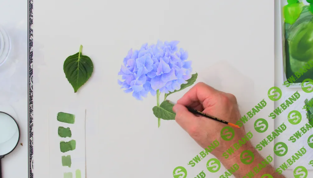 [Domestika] Ботаническая иллюстрация. Техника штриховки (2024)